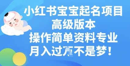 小红书宝宝起名项目高级版本，操作简单，资料专业，月入过W-轻创星学院_副业资源库：每日更新自媒体运营与创业教程