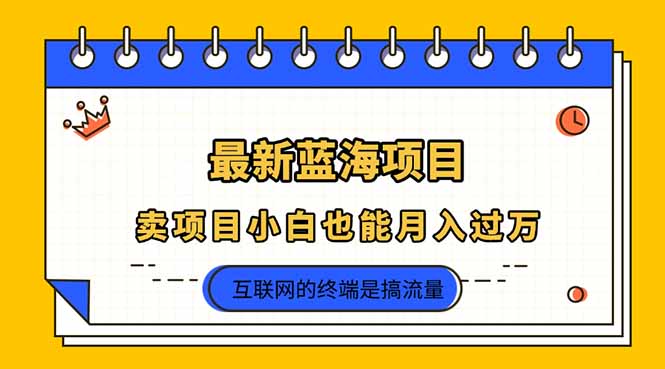 （14289期）2025年最新蓝海项目，卖项目小白也能月入过万-轻创星学院_副业资源库：每日更新自媒体运营与创业教程