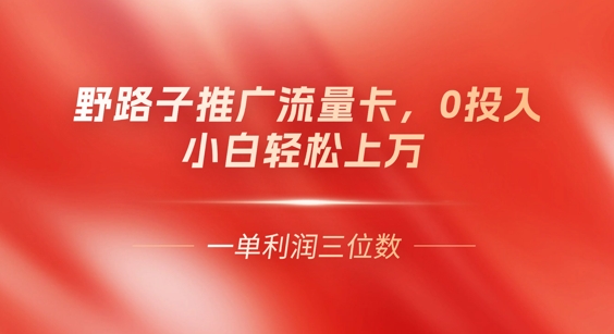 0门槛推广流量卡,一单收益上百,0投入,小白月入过W-轻创星学院_副业资源库:每日更新自媒体运营与创业教程