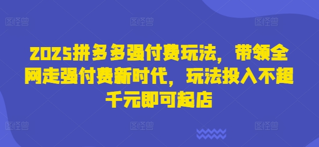 2025拼多多强付费玩法,带领全网走强付费新时代,玩法投入不超千元即可起店-轻创星学院_副业资源库:每日更新自媒体运营与创业教程