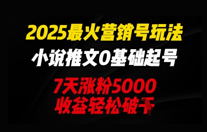 2025最火营销号玩法：小说推文0基础起号，7天涨粉5000，收益轻松破k-轻创星学院_副业资源库：每日更新自媒体运营与创业教程
