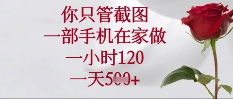 你只管截图,一部手机在家操作,一小时120.一天5张【揭秘】-轻创星学院_副业资源库:每日更新自媒体运营与创业教程